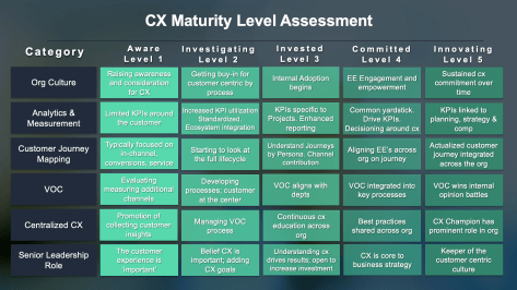 Maturity Grid